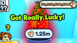 I SPENT OVER 50 BILLION! GingerBread Coins And Got Really Lucky in Pet Simulator X