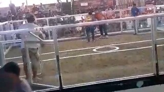 panalo