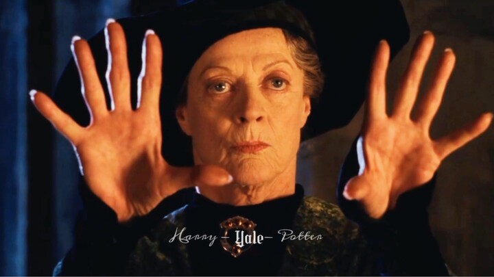 [HP] Please, Professor McGonagall can turn into a cat.