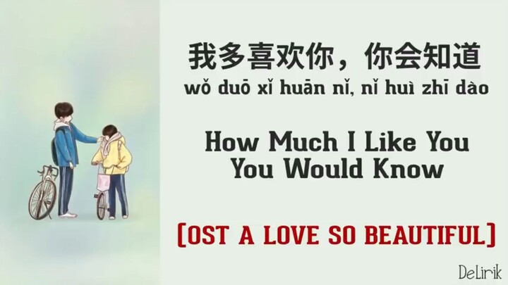 A LOVE SO BEAUTIFUL VERS.mANDARIN