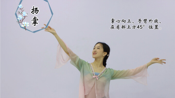 古典舞的基本手位分解+组合训练