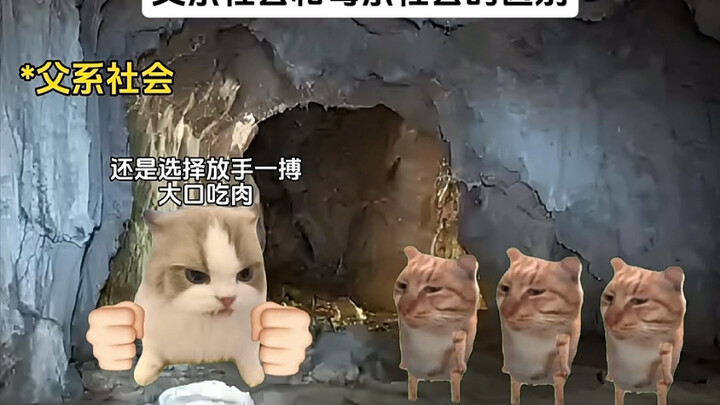 父系社会的母系社会的区别
