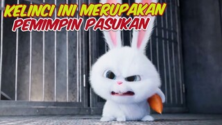 Seekor Kelinci Memimpin Kehancuran Bagi Manusia - Cerita The Secret Life Of Pets