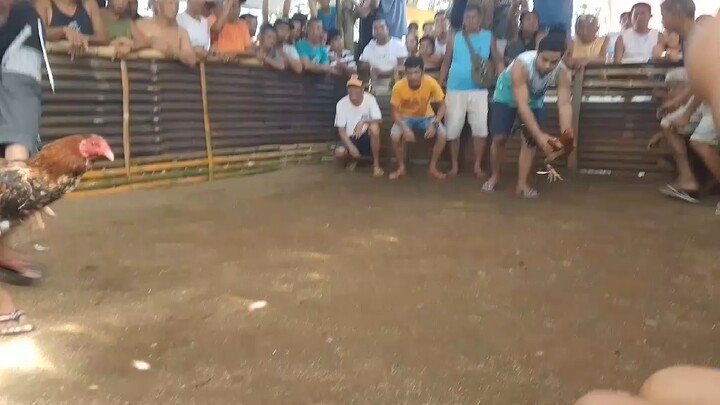 nagulat kalaban ayaw tumuloy
