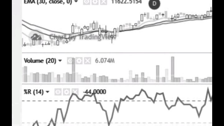 Langkah Awal Paham Tarding Saham Part:2 [Penerbit = Vezhven] (Kamis 14 Desember 2023 02:32)