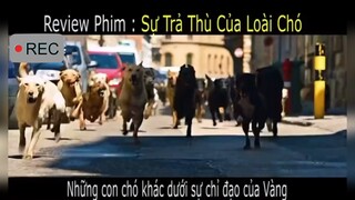 Review phim: Sự trả thù của loài chó