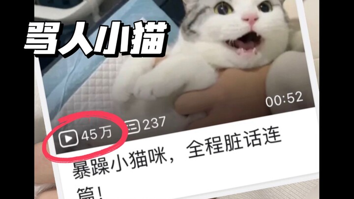 她到底骂了啥？家里猫全炸毛了…