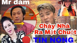 🛑Tin  Nóng " CHÁY NHÀ RA MẶT CHUỘT " Giới Nghệ Sĩ Gửi Đơn Kiện NGUYỄN PHƯƠNG HẰNG