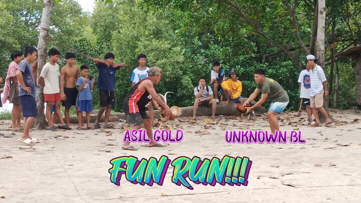 ASIL GOLD WIN VS Unknown BL       JRP Backyard