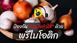 ป้องกัน "มะเร็งลำไส้" ด้วยพรีไบโอติก | saladcreator Podcast | EP13