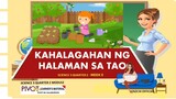 SCIENCE 3 | KAHALAGAHAN NG HALAMAN SA TAO | MODULE WEEK 5 | MELC-BASED