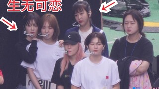 Red Velvet 一大早等待排练中…困到打哈欠191004