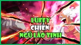 Luffy Đụng Độ Ngũ Lão Tinh - Cuộc Chiến Không Khoan Nhượng | Bàn Luận One Piece
