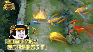 王者皮一下：我承受着这个年纪不该承受的痛苦！这么多鸟怎么躲？