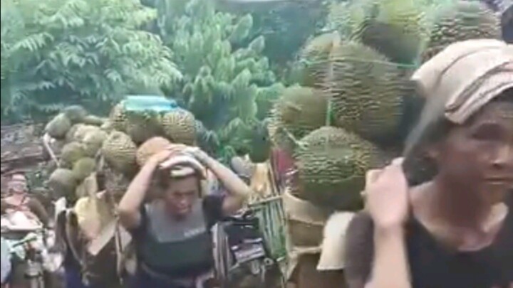 mantapnyo