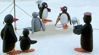 PINGU - COMPLETE SERIES EP.26