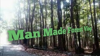 Man made forest vlog