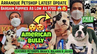 ARRANQUE PETSHOP UPDATE | BARGAIN PUPPIES AS LOW AS P700 | CHOW CHOW BULLY, HUSKY, LABRADOR, SHIHTZU