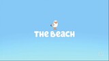 Bluey Season 1 Episode 26 The Beach