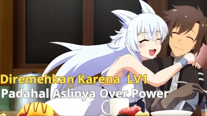 Diremehkan karena under level | LV2 Kara Cheat datta Matoyuusha Kouho no Mattari Isekai Life