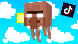 ลองเล่นตาม TikTok สุดจะเท่ห์!!..ไม่ใช้ม็อดก็ทำได้!! (Minecraft TikTok)