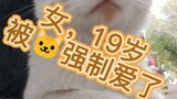 女，19岁，被校猫强制爱了