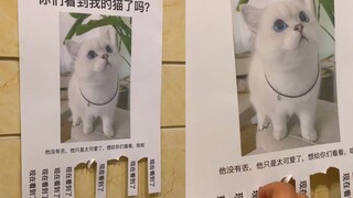 男子为炫耀自家猫咪可爱，楼道里狂贴“寻猫启事”，路人纷纷中招