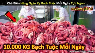 Quy Trình Chế Biến Hàng Ngàn Cân Bạch Tuộc Siêu Ngon Mỗi Ngày || Review Giải Trí Đời Sống