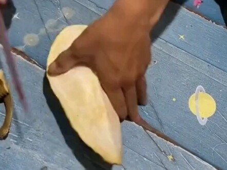 Durian tak berduri, tak takut lagi durian tertusuk tangan