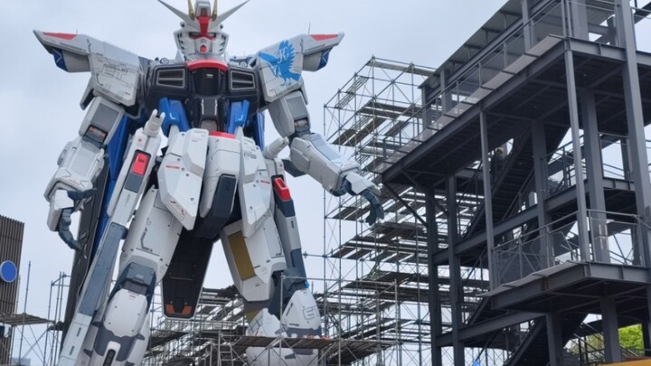 [Shanghai Freedom Gundam] นั่งร้านให้ความรู้สึกดียิ่งขึ้น