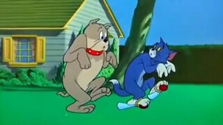 Tom and Jerry cartoon
