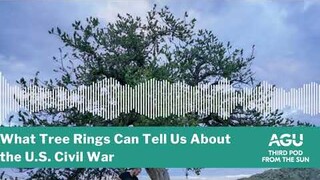 What Tree Rings Can Tell Us About the U.S. Civil War