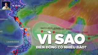 VÌ SAO BIỂN ĐÔNG LÀ TOP KHU VỰC CÓ NHIỀU BÃO NHẤT THẾ GIỚI?