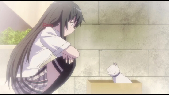 Gao Lengxue mengeong seperti kucing