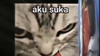 aku suka kucing 🐱