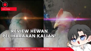 [🔴LIVE] Review Hewan Peliharaan Kaliaan  ( ͡° ͜ʖ ͡°) ❤️ | Free talk