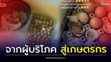 แม่ซื้อไข่ฮ้างฮัง ไม่อยู่บ้าน3วัน กลายเป็นลูกเจี๊ยบฝูงใหญ่| Thainews - ไทยนิวส์