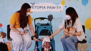 ชิเอลคิรัวร์เจอพี่ๆ FC ครั้งแรก!! งาน Petopia Paw-Ty | ชิเอลแมวมึน คิรัวร์ตัวป่วน