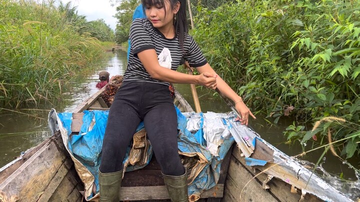 Panen sawit umur 7 tahun || pekerja sawit cantik
