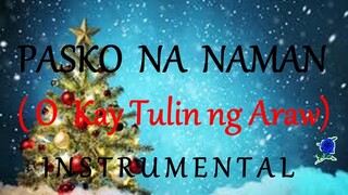 PASKO NA NAMAN  O KAY TULIN NG ARAW - instrumental