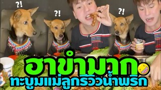 สุดฮา! อาการของหมูทะ รีวิวขายน้ำพริกกับแม่บูม OMG! หน้านางช่าง ฟีคสุดๆตอนท้าย 55+