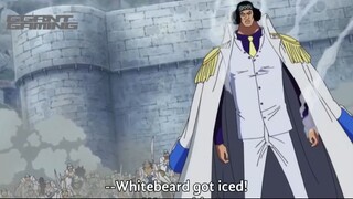 Aokiji not afraid againts whitebeard!