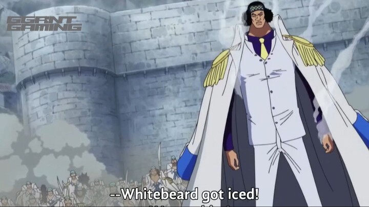 Aokiji not afraid againts whitebeard!