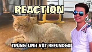 BÔ REACTION LINH VẬT REFUND GAMING