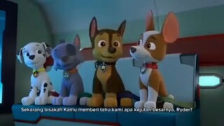 Paw Patrol Episode Spesial Jet to the Rescue Subtitle Indonesia