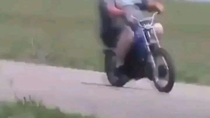 K9 units on br be like - Bilibili K9 units on br be like - Bilibili