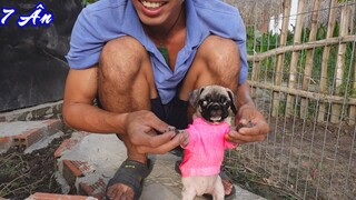 7 Ân Chôm Tiền Vợ Sắm Pug Mà Còn Chia Sẻ Cách - Chuyện Không May