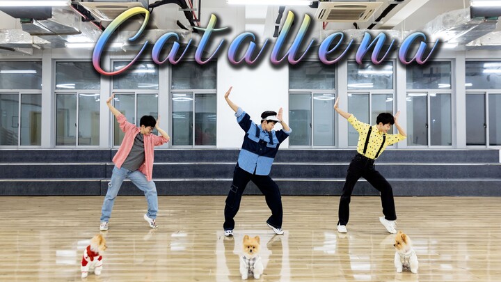 Orange Caramel "Catallena" full song cover