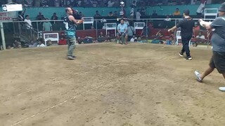 MARKENLIT 3rd fight/Win! (CHAMPION 3wins)