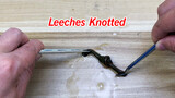 [Experiment] Can leech untie itself if it's tied?